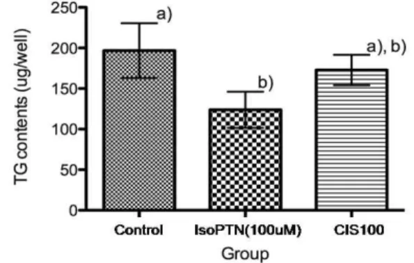 Fig. 4. Effect of CIS on itracellular TG contents in 3T3-L1 adipocytes. IsoPTN(100 uM) : isopreterenol 100 uM CIS100 : Chestnut Inner Shell 100 ㎍/㎖ Value are mean±standard deviation of 3 replicates and those with different alphabet letters are significantl