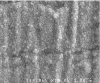 Figure 5. EDS analyzed spectrum and composition of NiHCNFe ion  exchanger prepared by chemical method.