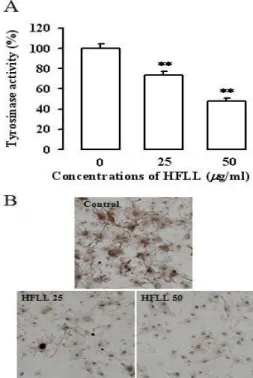 Fig. 1. Effect of hexane extract of Fructus Ligustri Lucidi (HFLL) on the cell viability