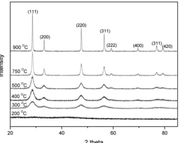 Figure 3. XRD patterns of the powder calcined at various temperatures.