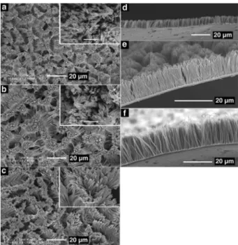 Figure 7. Plots of normal or shear force versus Pth tubule length. (a)  Normal force. (b) Shear force[30].