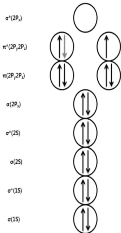Figure 1. The electronic configuration of the highest occupied orbitals  of superoxide anion radical[5].