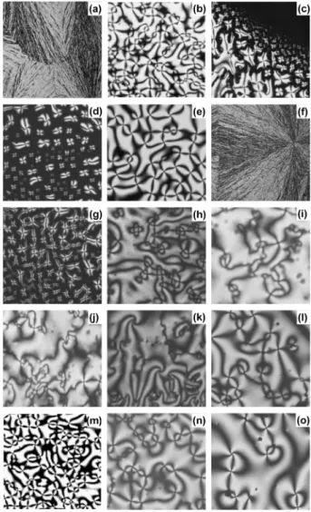 Figure 4. Optical micrographs of CAGETn: (a) heated CAGET2 at 120