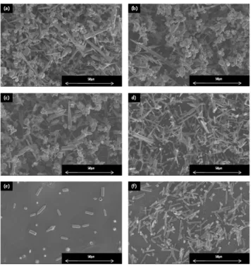 Figure 3. FE-SEM images of ZnO obtained on tilting 90 o  and 50 o  with  different catalyst