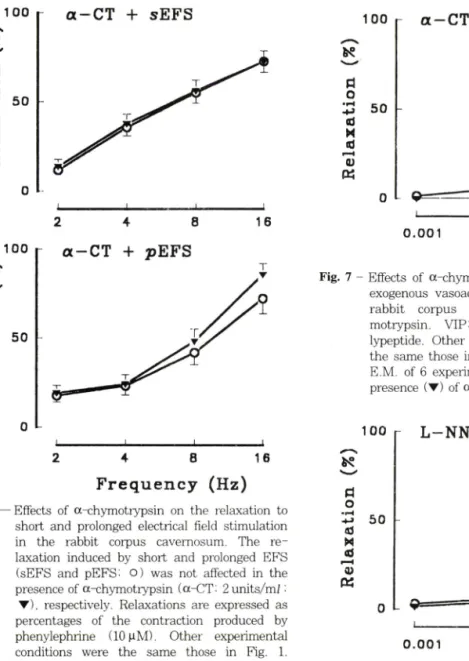 Fig.  7  -  Effects  of  a-chymotrypsin  on  the  relaxation  to  exogenous  vasoactive  intestinal  polypeptide  in  rabbit  corpus  cavemosum