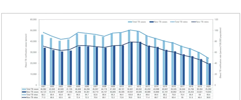 Figure 1. New tuberculosis (TB) notification cases and rates, 2001-2020