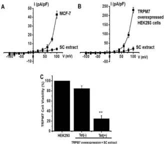 Fig. 5. The effect of Schisandra Chinensis extract on the MAPK signaling pathway in MCF-7 cells
