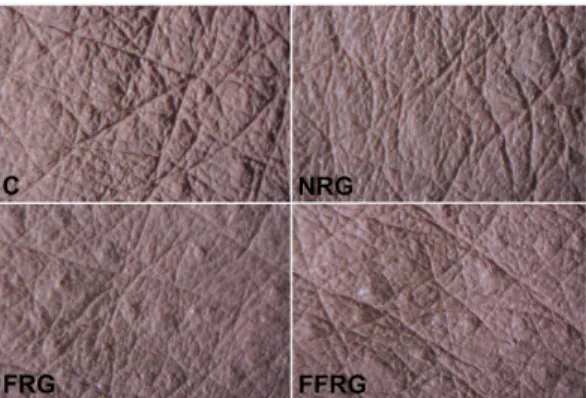 Fig. 2. Histological changes in the dorsal skin of SKH-1 mice exposed to 4 weeks of UVB irradiated experimental groups(C, NRG, FRG, FFRG) and non-irradiated normal group(N)(H&amp;E stain, x200).