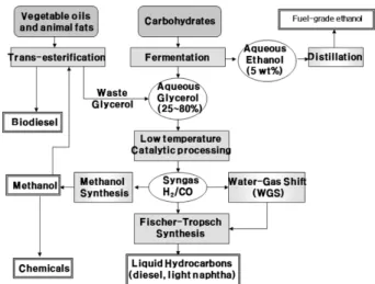 Figure 7. Schematic view of liquid fuel and chemical production through catalytic processing of glycerol[1].