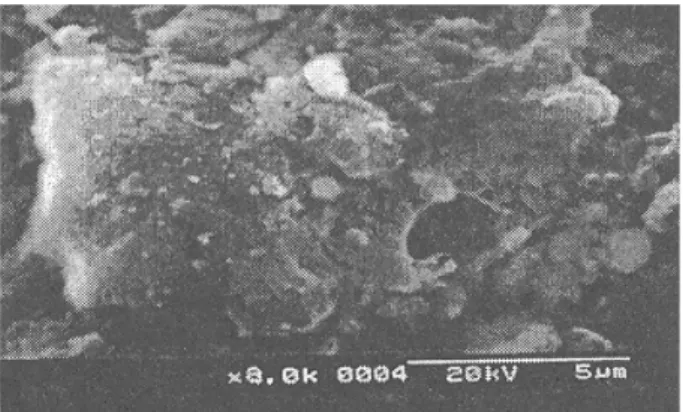 Figure 6. A sample diagram of EDS surface analysis for a certain area.