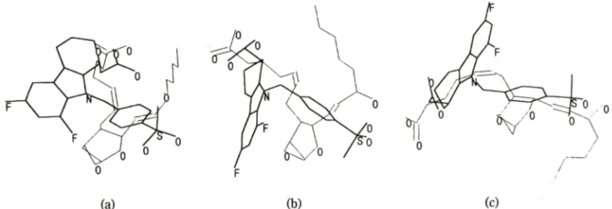 Fig.  7 — Superimposition of TxA 2  and ICI-192605.  The superimposition was done as described in Fig