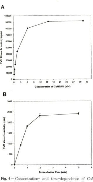 Fig.  4 — Concentration-  and  time-dependence  of  CaM  kinase  la  activity  upon  CaM KIK