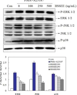 Fig. 9. Effect of Hoesaeng-san ethanol extract (HSSEE) on the activation of NF-κB in HMC-1 cells