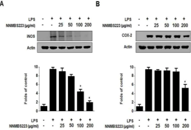Fig. 1. Effects of NNMBS223 on cell viability. RAW264.7 macrophages were incubated for 36 h with various concentrations of NNMBS223 (25–400 μ g/ml)