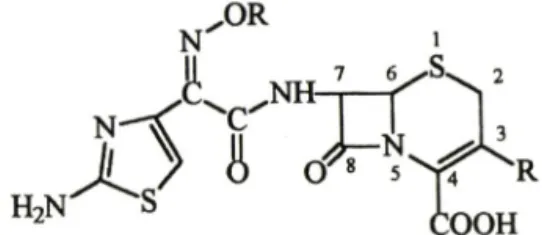 Fig.  1 — General  structure  of  aminothiazole-alkoxyimi -  nocephalosporin.