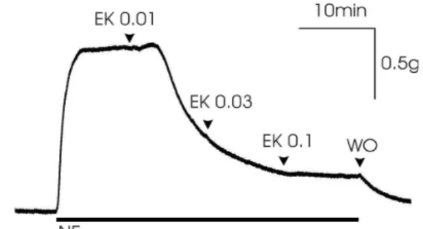 Fig. 1. EK extract-induced concentration-dependent relaxation in isolated rabbit common carotid artery