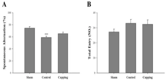 Fig. 1. Protective effect of cupping on the learning and memory dysfunction caused by collagenase in Y-maze test