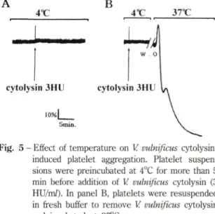 Fig.  5 - Effect  of temperature  on  V vulnificus  cytolysin-  induced  platelet  aggregation