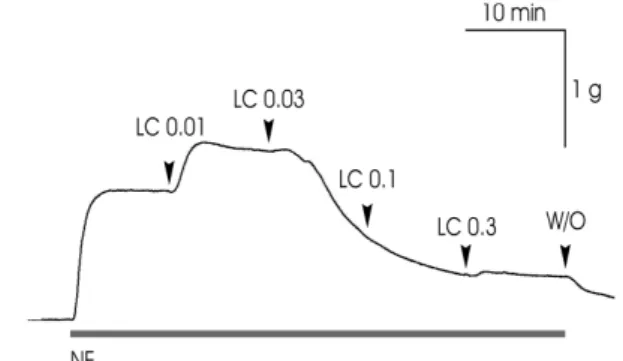 Fig. 1. Effects of LC extract on NE-contracted rabbit carotid arterial strip(n=8). Representative tracings are shown as the relaxation of arterial strip by cumulative addition of 0.01 ㎎/㎖ to 0.3 ㎎/㎖ LC extract at the plateau of NE-induced contraction