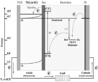 Figure 1. A schematic presentation of reaction pathway of a DSSC.