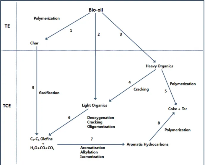 Figure 2. Proposed reaction pathway for the conversion of bio-oil over acidic zeolite catalyst: TE: thermal effect; TCE: thermo-catalytic effect[14].