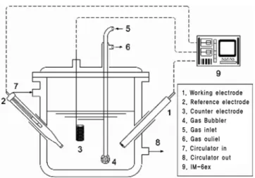Figure 1. 3-Electrode half cell reactor. 에 분산되어 있는 지지체는 멤브레인 필터를 통하여 다시 수집하고  최종적으로 지지체를 증류수에 분산시켰을 때 수용액이 중성이 될  때까지  세척을  반복한다