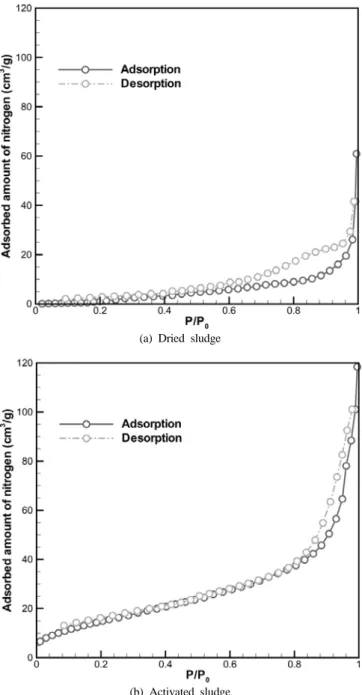 Figure 5. SEM photographs of dried sludge and activated sludge.