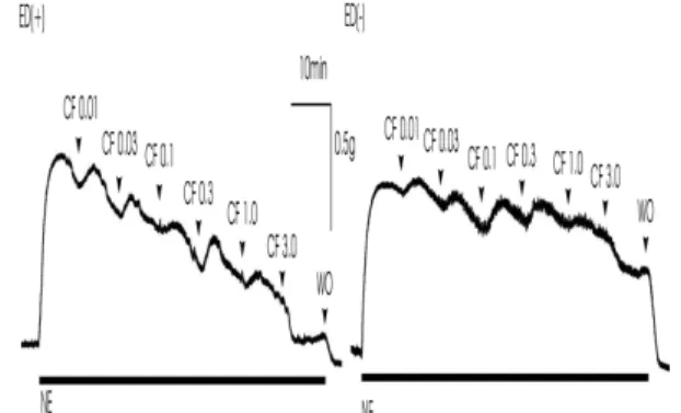 Table 3. Effects of pretreatment of IM on the endothelium-dependent relaxation induced by CF extract