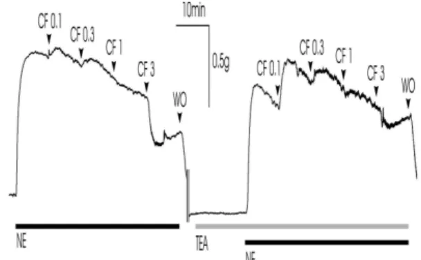 Table 5. Effects of pretreatment of L-NNA on the endothelium-dependent relaxation induced by CF extract
