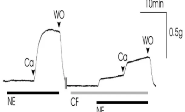 Table 8. Effects of CF extract on the viability of human umbilical vein endothelial cell(HUVEC).