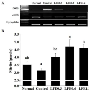 Fig. 2. Effect of the Lycii fructus extracts (LFE) on the expression of mRNA (A, iNOS and eNOS) and NO (B) level in the intracavernous tissue of ethanol-induced ED animal model