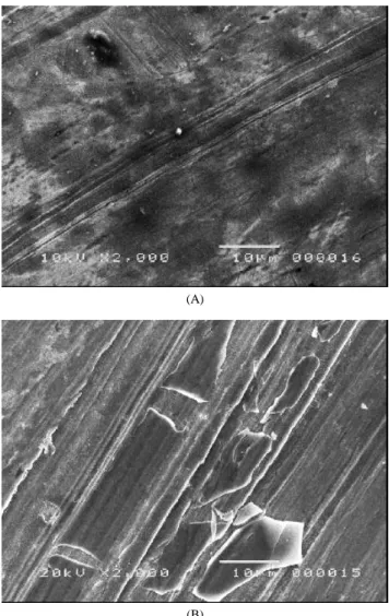 Figure 2. XRD patterns of TiO 2 /GP catalysts prepared by different  numbers of coating operation.