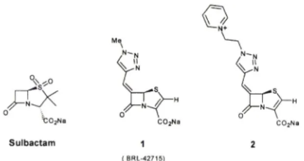 Fig,  1 - Structure  of  p-Lactamase  inhibitors.