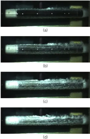 Fig. 11. Distribution  of  bubbles  around  body  surface    with  a  cylindrical  tail(flow  velocity  8  m/s,  injection  flow  rate  (a)  50  L/min,  (b)  100  L/min,  (c)  200  L/min,  (d)  300  L/min)