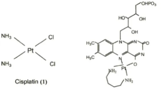 Fig.  1 - Structures  of Cisplatin  (1)  and  7FMN  (2).