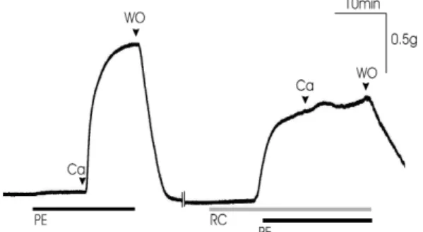 Fig. 8. Effects of RC extract on the viability of human umbilical vein endothelial cell(HUVEC)