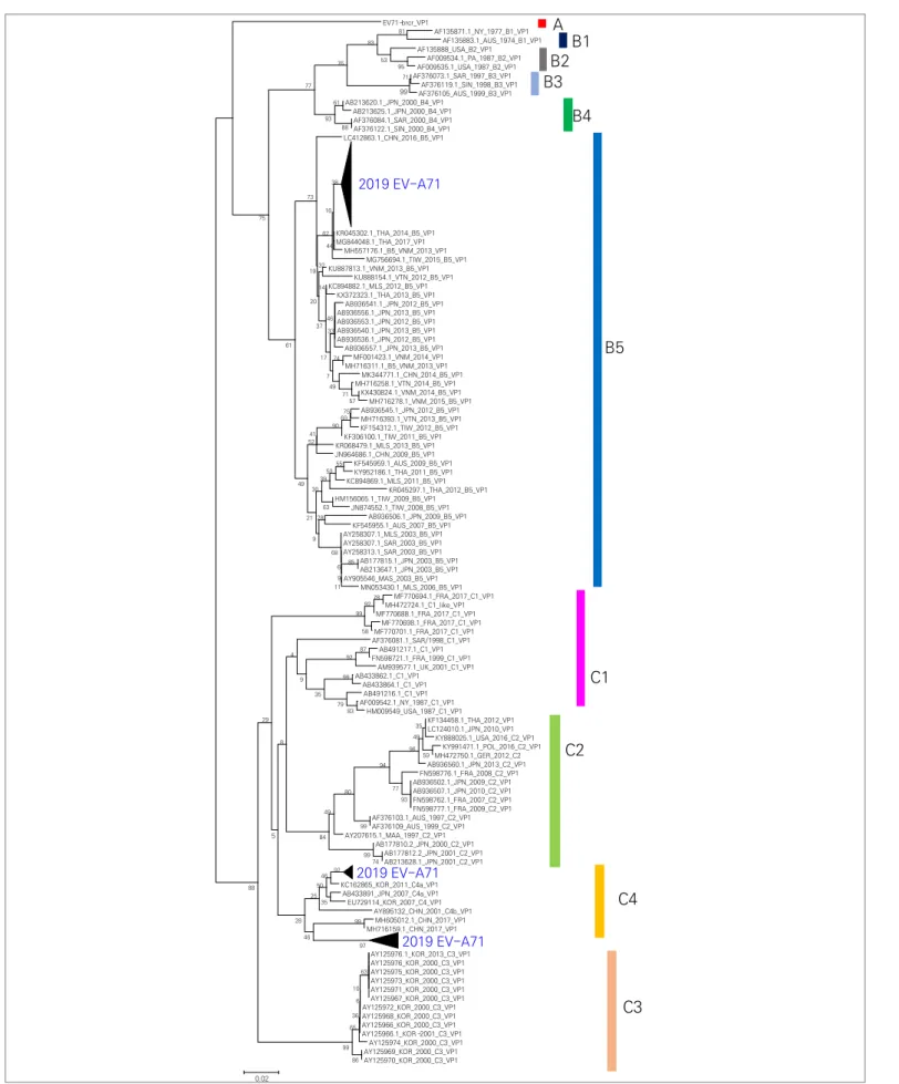 Figure 4. Phylogenetic tree of EV-A71 in 2019