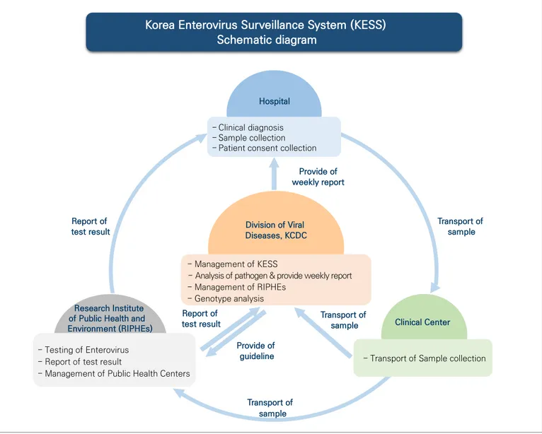 Figure 1. Schematic diagram of Korea Enterovirus Surveillance System (KESS)