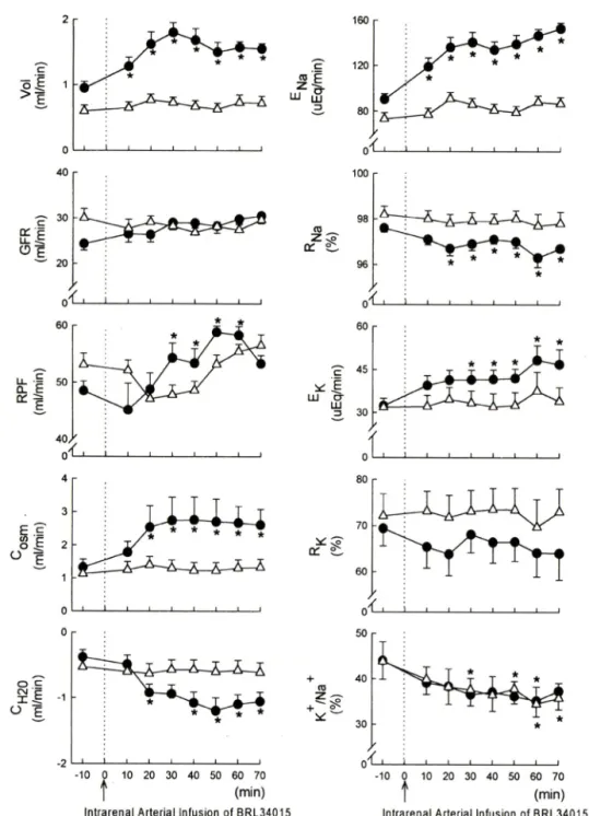 Fig.  1 - Effects of BRL 34915 (LO jig/kg, boIus+0.1 }ig/kg/min) given into a renal artery on renal function in dog