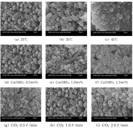 Figure 2. Scanning electron micrographs of precipitated calcium carbonate at various conditions.