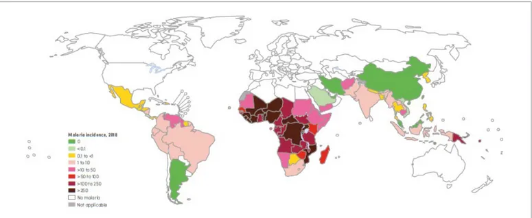 Figure 1. Map of malaria case incidence rate (Cases per 1000 population at risk) by country, 2018[2].