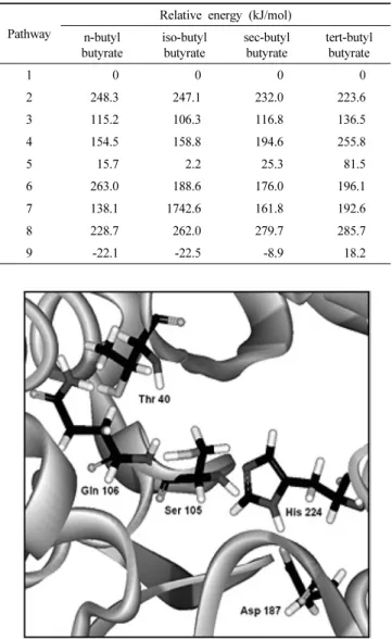 Figure 2. Close-up of active sites of  Candida Antarctica Lipase B  structure; color code: C: black, H: white, O: gray, N: dark gray.