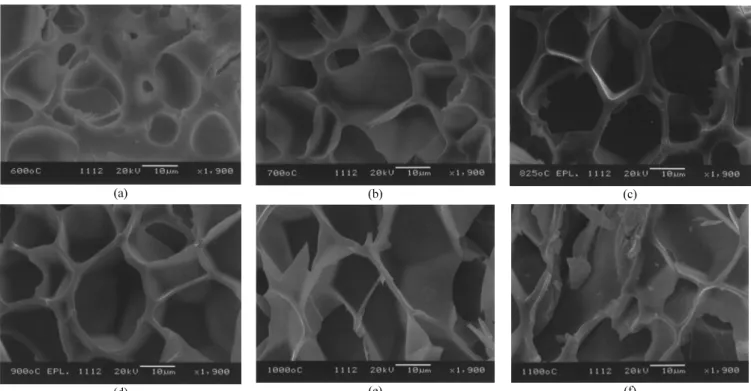 Figure 13. SEM photograph of cross-section of expanded perlite. (a) heated at 600 ℃, (b) heated at 700 ℃, (c) heated at 825 ℃, (d) heated at  900  ℃, (e) heated at 1000 ℃, (f) heated at 1100 ℃.