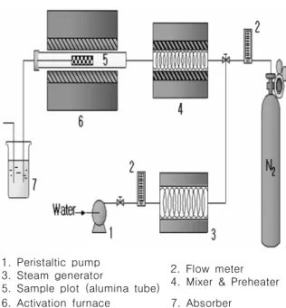 Figure 1. Schematic diagram of apparatus for activation.