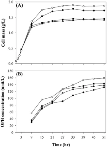 Figure 2. Effect of tween 20 concentration on cell mass (A) and OPH  production (B) from recombinant  E.coli culture