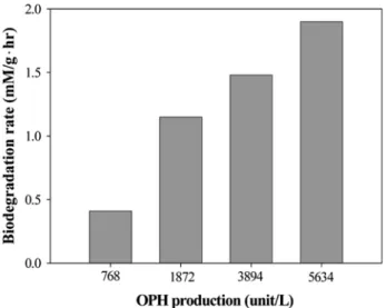 Figure 6. Effect of OPH production on biodegradation rate of cou-  maphos. 1 mM coumaphos was used for substrate.