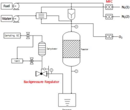 Fig.  3.  Schematic  diagram  of  pressurized  ATR  set-up