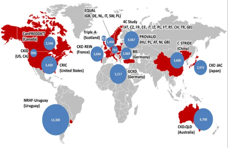 Figure 1. iNET-CKD Participating Countries 