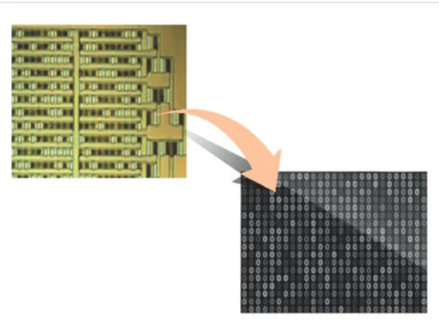 Fig.  10.  SW  response  technology(Zeroization)