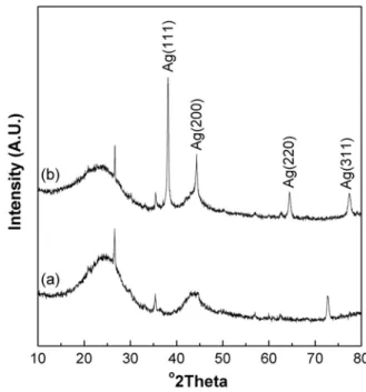 Figure 2. SEM images of (a) pure activated carbon and (b) Ag/ 